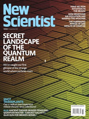 cover image of New Scientist International Edition